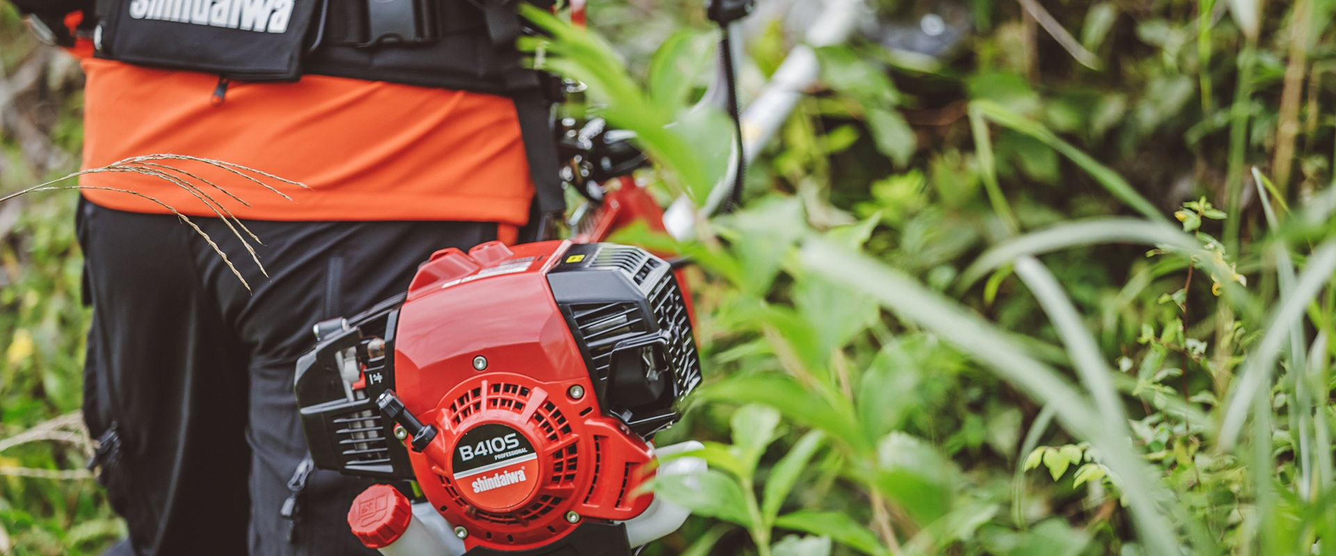 Summer Catalogue Out Now